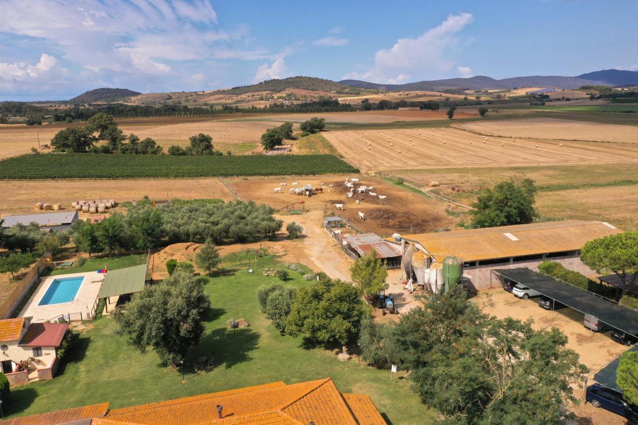 Agriturismo Al Girasole サン・ドナート エクステリア 写真