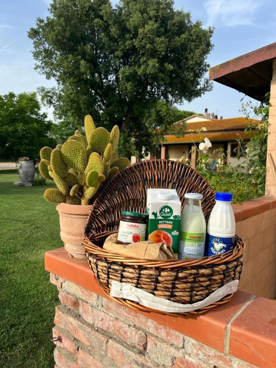 Agriturismo Al Girasole サン・ドナート エクステリア 写真