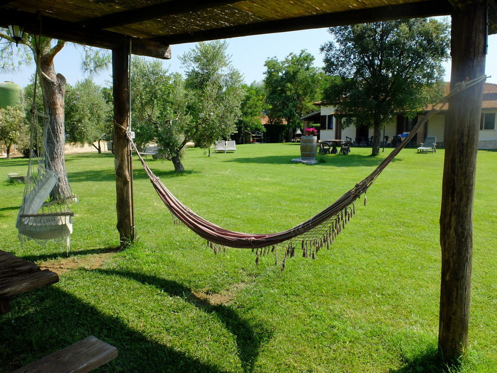 Agriturismo Al Girasole サン・ドナート エクステリア 写真